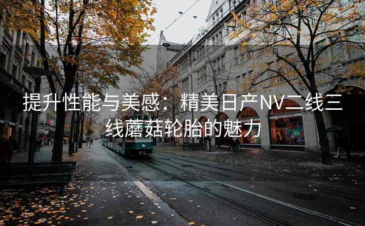 提升性能与美感：精美日产NV二线三线蘑菇轮胎的魅力