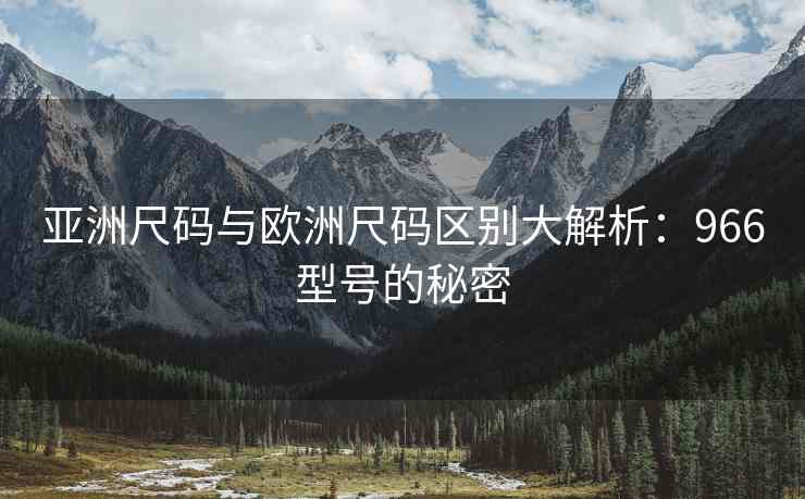 亚洲尺码与欧洲尺码区别大解析：966型号的秘密
