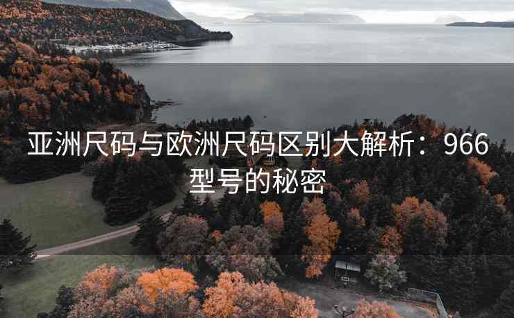 亚洲尺码与欧洲尺码区别大解析：966型号的秘密