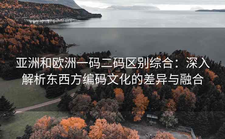 亚洲和欧洲一码二码区别综合：深入解析东西方编码文化的差异与融合